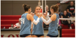 Volleyball teammates celebrating together